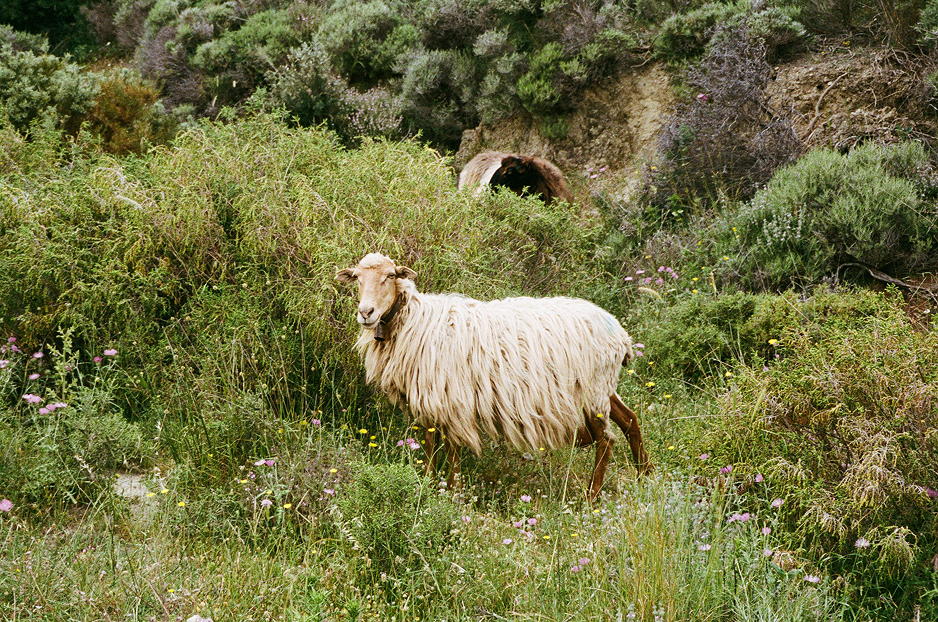 Crete_2026-5 1