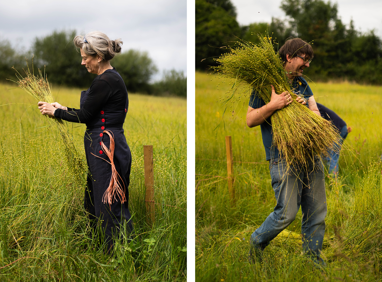 Flax Meitheal diptych 1