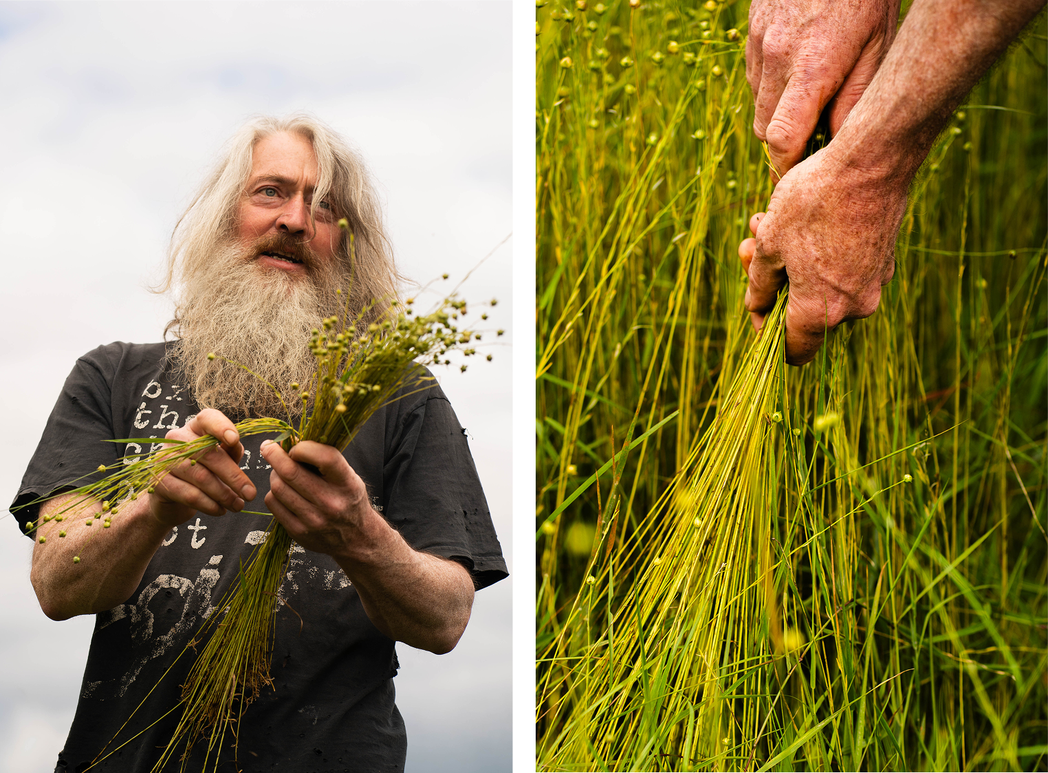Flax Meitheal diptych 2