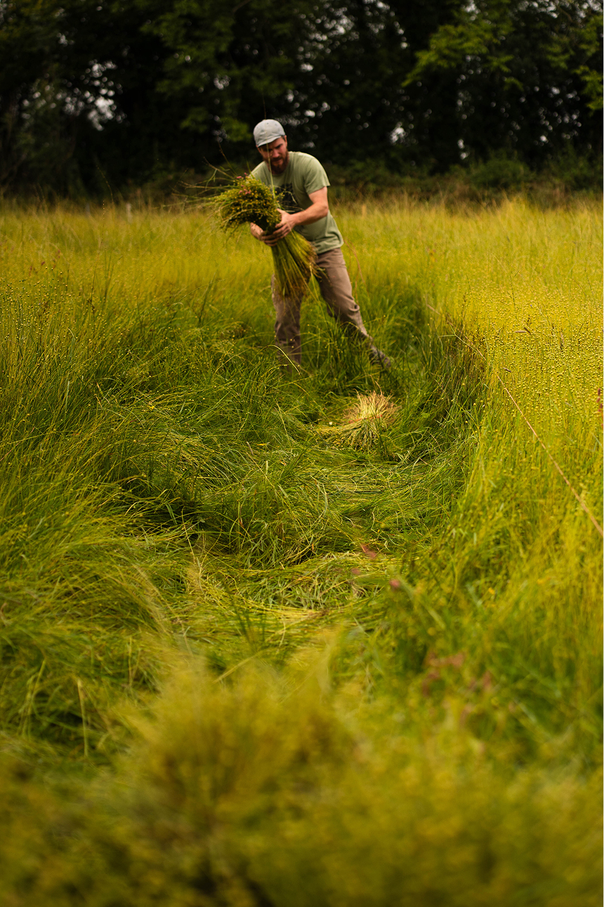 Flax_Meitheal_2026 2