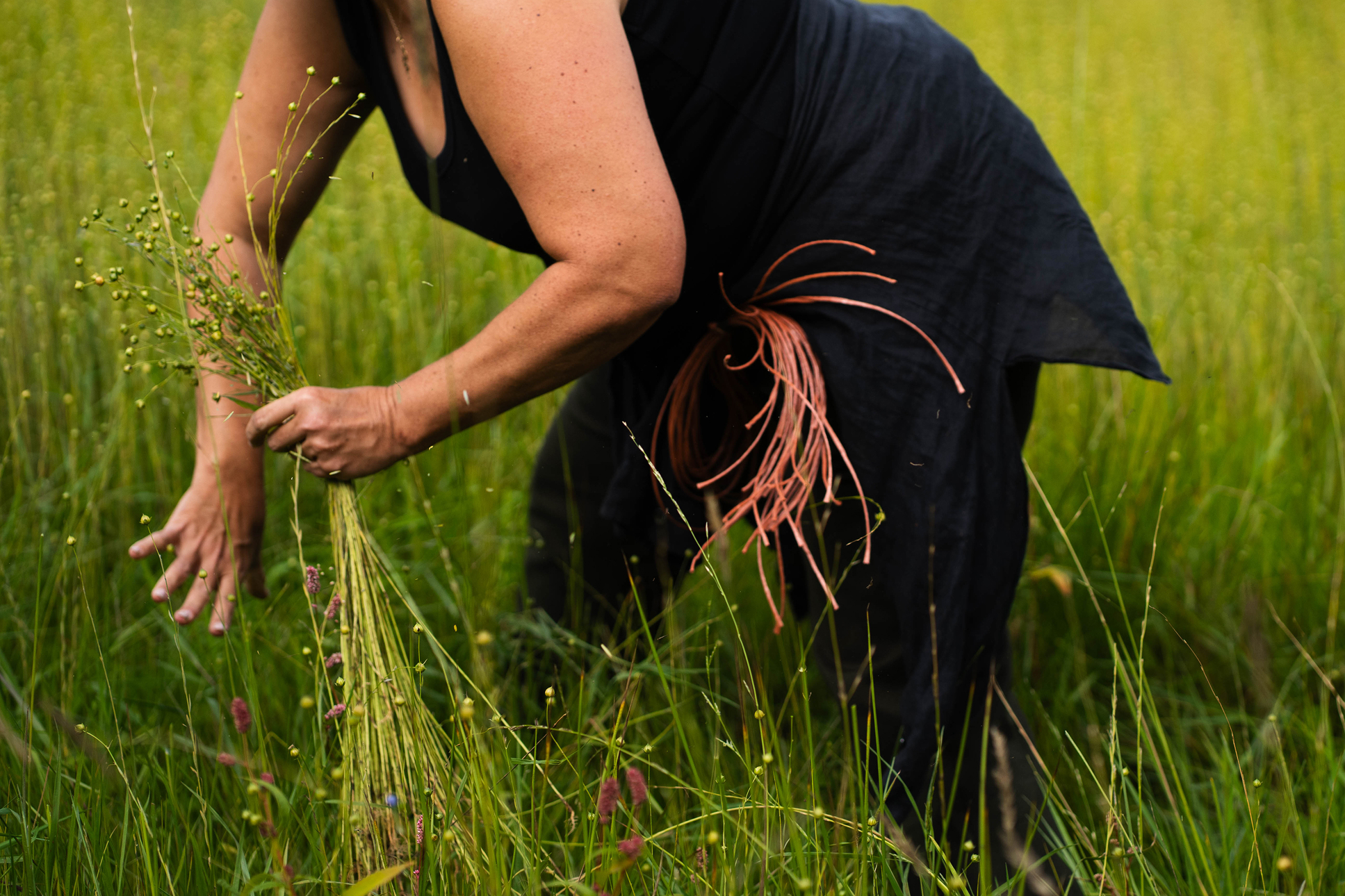 Flax_Meitheal_2026 8